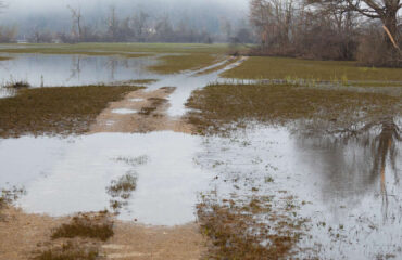 dirt driveway flooding